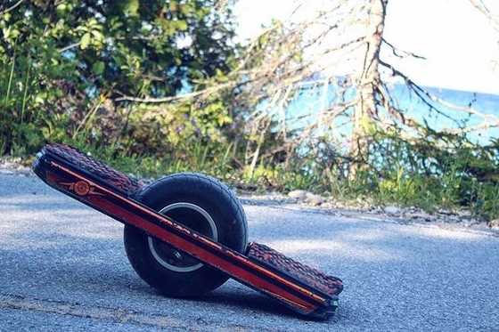 10.5Ah 700W Skateboard Manual Satu Roda Dengan Rel Pelindung
